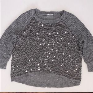 Sparkly Gray Sweater